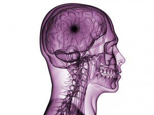 Introduction to Brain Injury 740x556